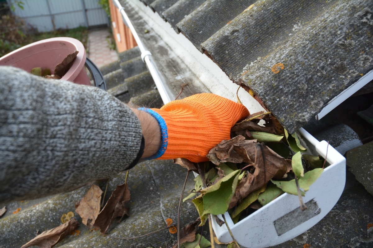 gutter cleaning near me