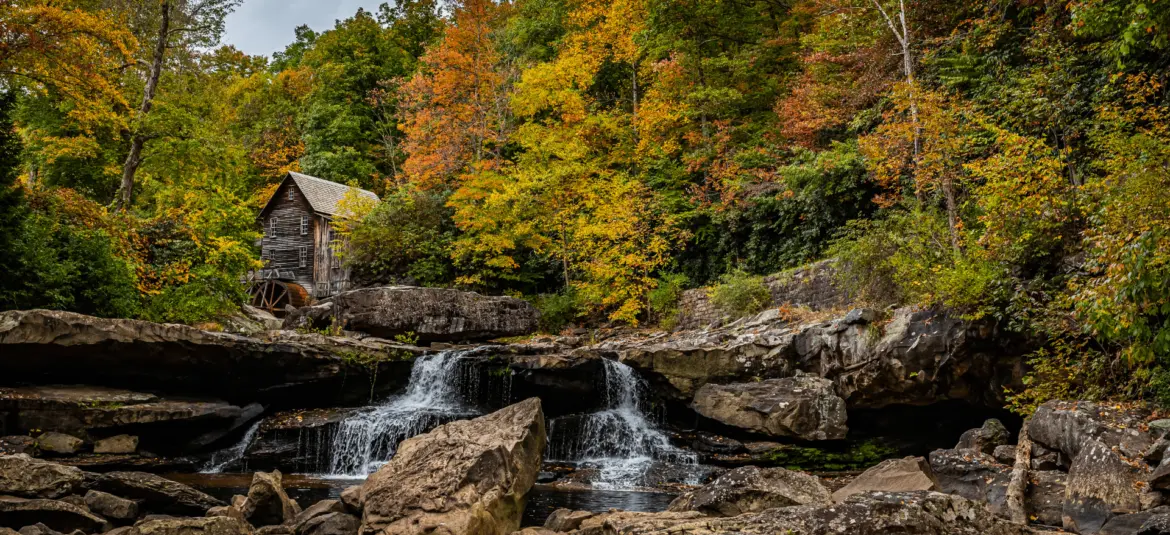 washington mill creek 1