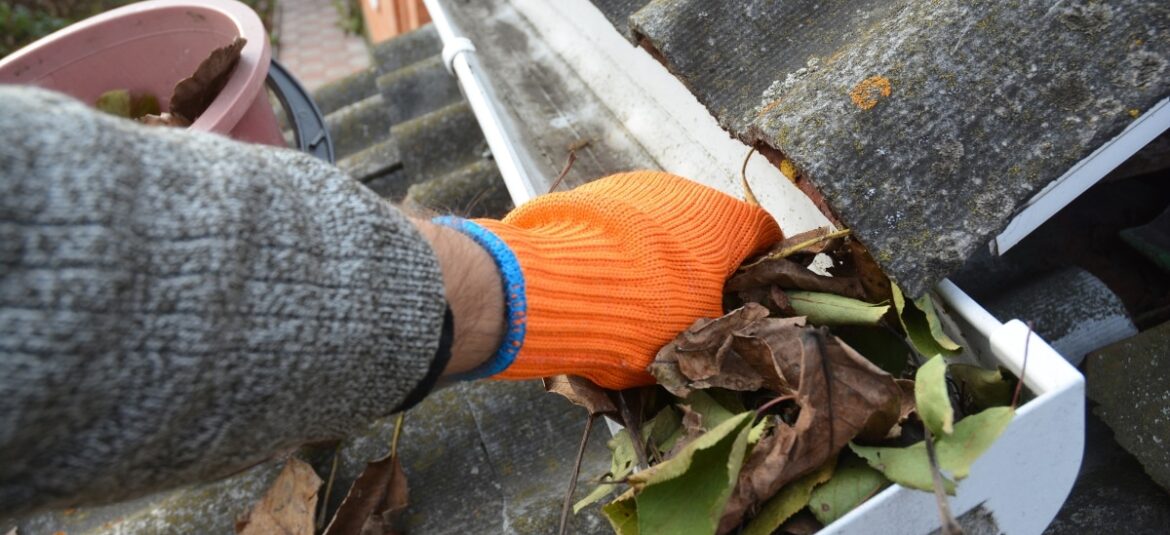 gutter cleaning near me